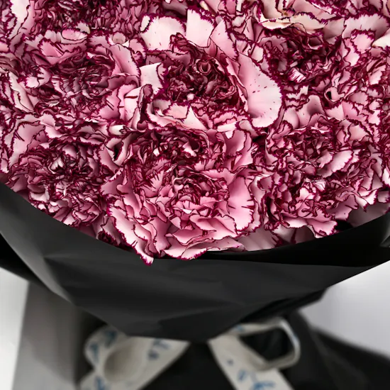 35 carnation bouquet | graduation collection