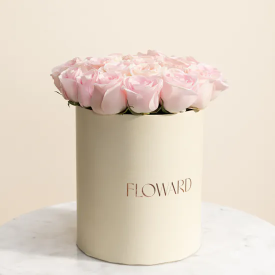 Emma Signé Beige Chiffon Scarf | Escada Magnetism Perfume and Flowers