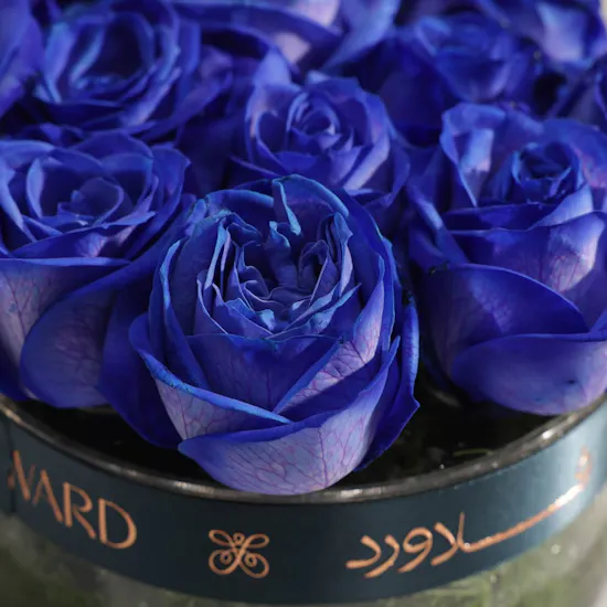 Dozen Blue Roses Vase