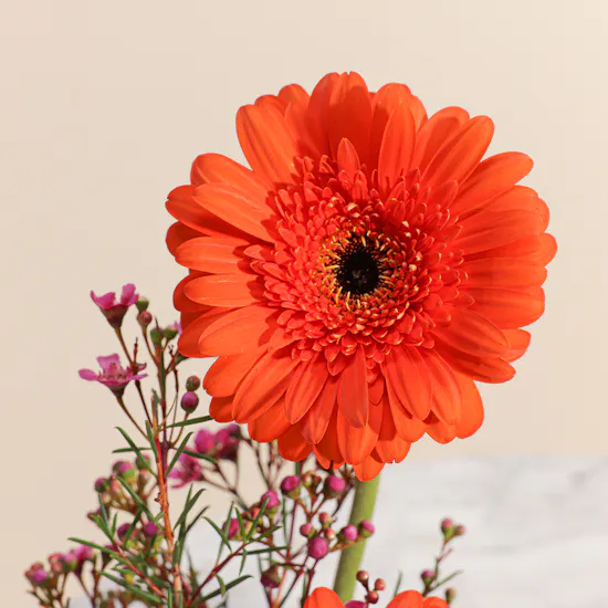 Floward Mini Chocolate Cake | Shiny Orange Flowers