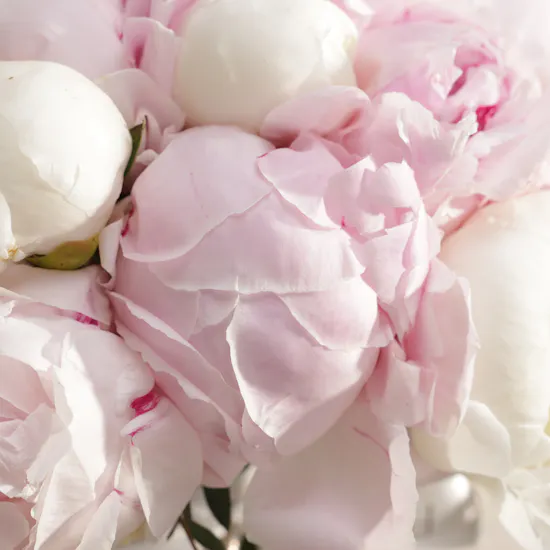 Peony Cloud Flower Bouquet