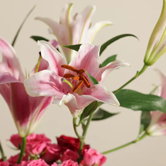 Pink Resilience Flower Vase