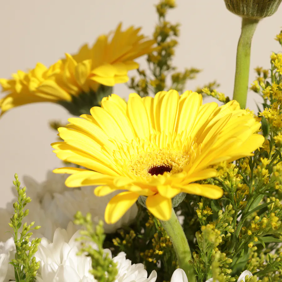 Morning Sun | Square Vase 3