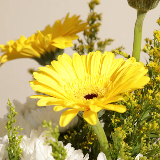 Morning Sun | Square Vase