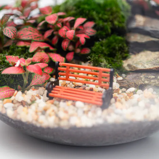 Enchanting Little Garden | Closed Terrarium