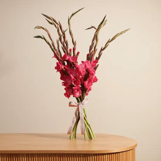 Gladiolus La Zamora | Flowers Bouquet