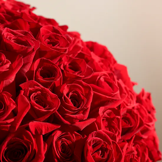 Red Roses Bouquet | 250 Flowers