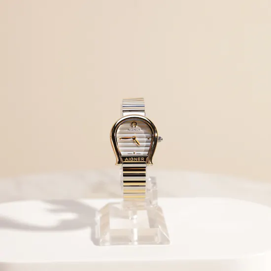 Aigner Iserna Women's Watch