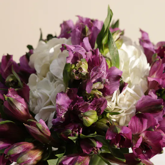 Chocoline Silver Chocolate Box | Beautiful Impact's Flowers