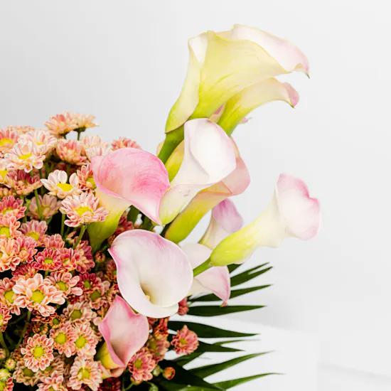 Calla & Chrysanthemums | Cylinder Vase