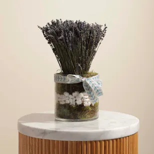 The Lavender Vase The Lavender Vase