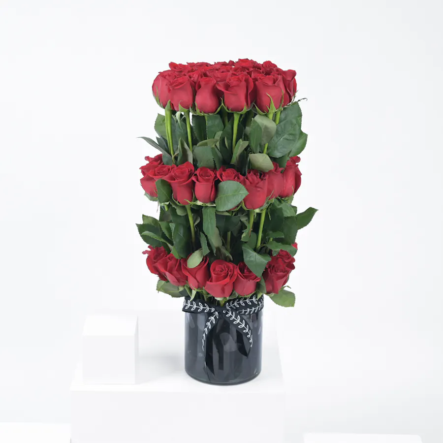 Love and More 1
