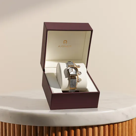 Aigner Cremona Duo Silver and Gold Women’s Watch