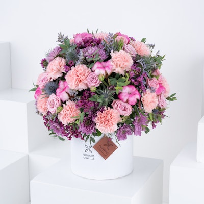 20 Pink Carnation | Cylinder Box