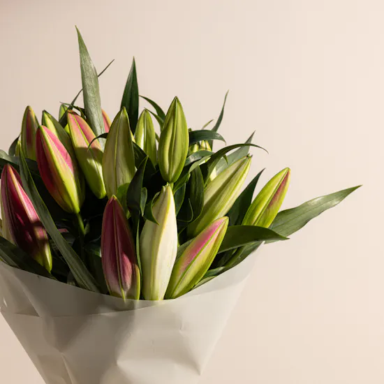 Enchanting Lilies | Cream Wrap
