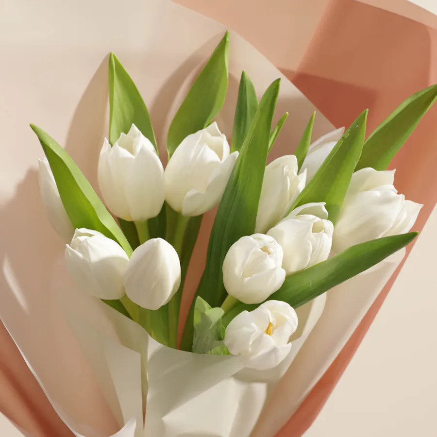 White Tulip | Pink & White Wrap 3