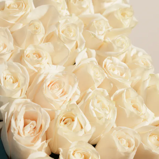 Floward Blue Holy Quran | White Roses
