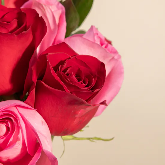 Elegant Roses Vase
