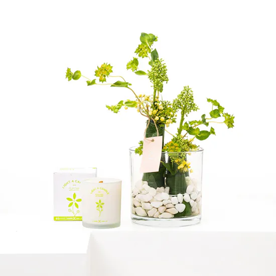 Floward Single Whispering Neroli Candle | Green Leaves Vase