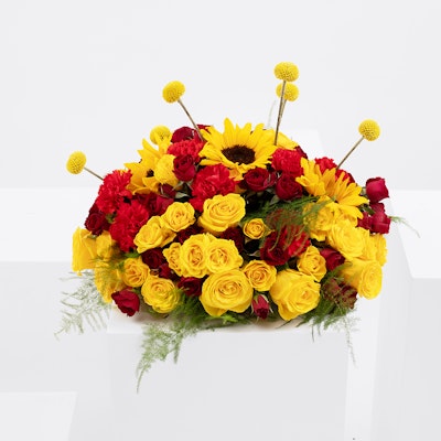 Sun Flowers Garden