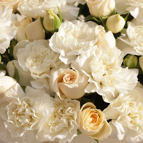 Pure Affection Flower Box