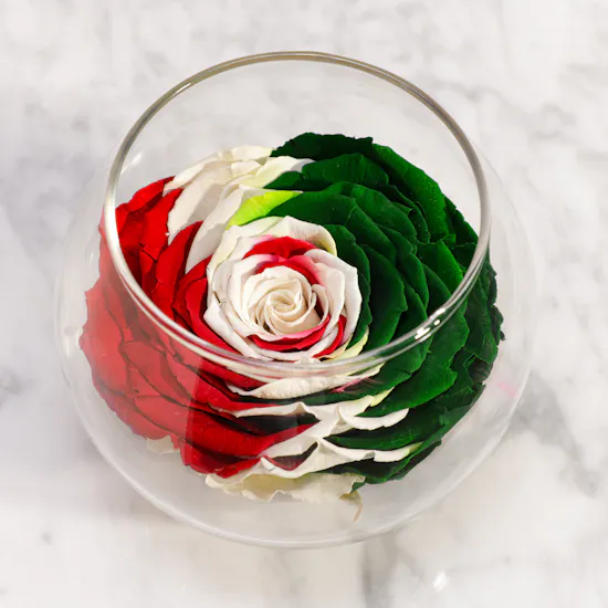Rays of Happiness Preserved Roses Vase