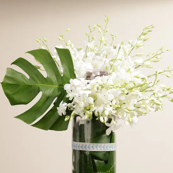 Floward Plain Chocolates | Enchanting Orchid