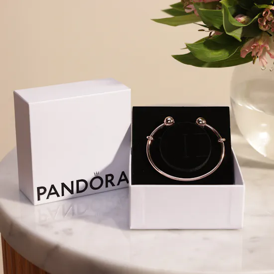 Pandora Moments Open Bangle | Flower Vase
