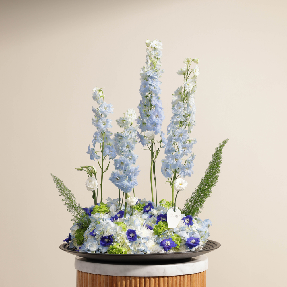 تنسيق زهور نسيم البحر