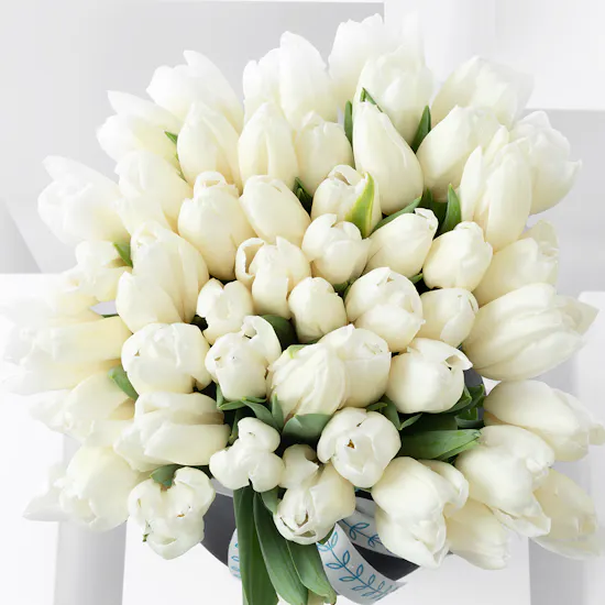 Elegant White Tulip Vase