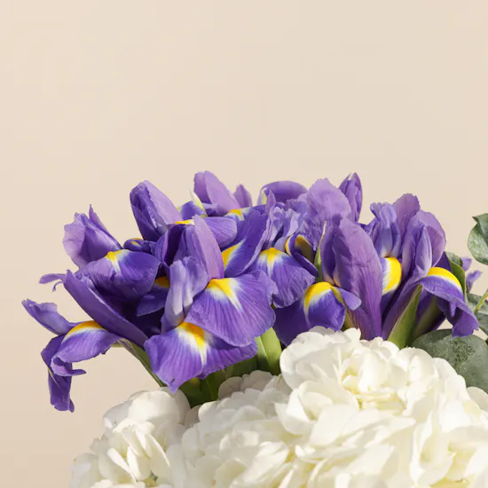 Floward Choco Crunch Mini Promotion Cake | Whispering Flowers Vase