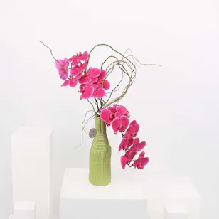 Purple Orchid | Green Vase Purple Orchid | Green Vase