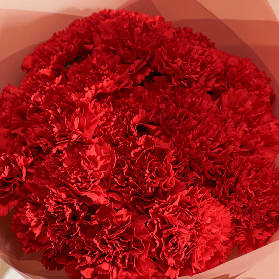 Red Carnation Blooming Bouquet | 20 Flowers