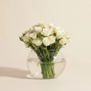 White Baby Roses Vase | 18 Flowers White Baby Roses Vase | 18 Flowers