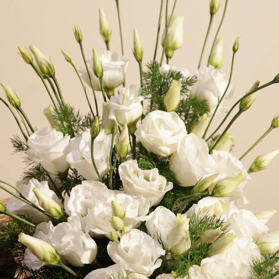 Abucci Chocolate Box | Pure Eustoma Flowers  6