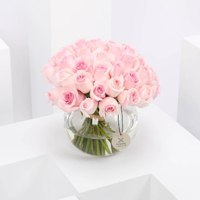 50 Pink Roses | Vase 