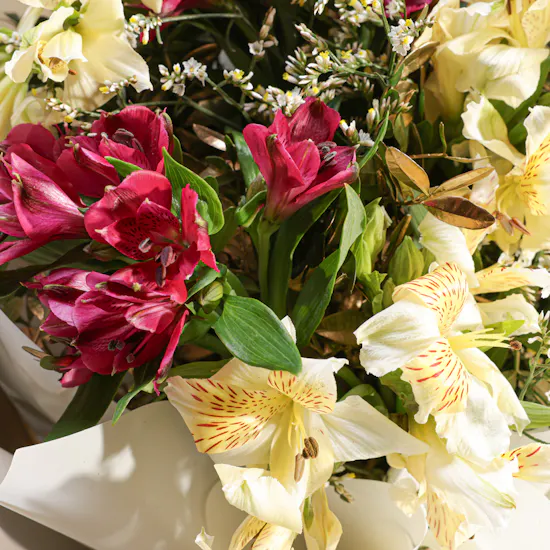 Ethereal Elegant Alstroemeria Bouquet