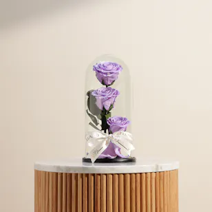 Light Purple Preserved Roses Dome