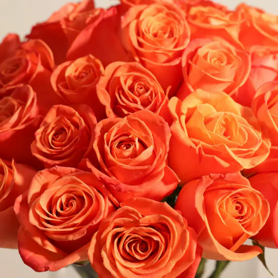 Orange Roses Vase | 50 Flowers