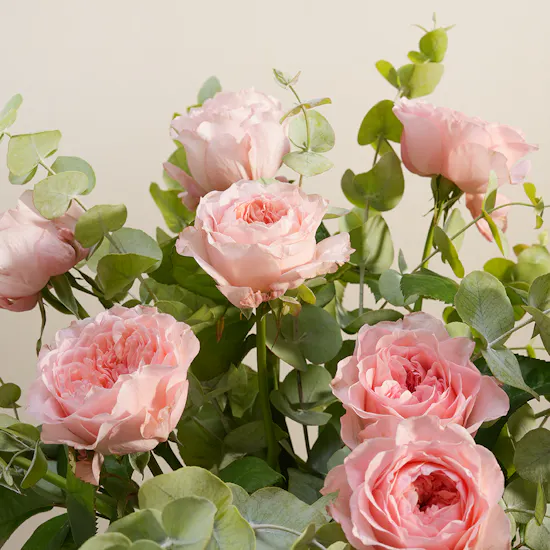 Morning Blush Flower Vase