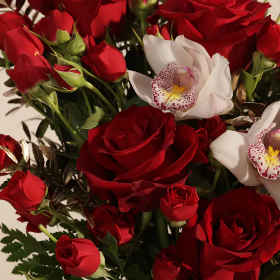 Striking Red Beauty Flower Vase