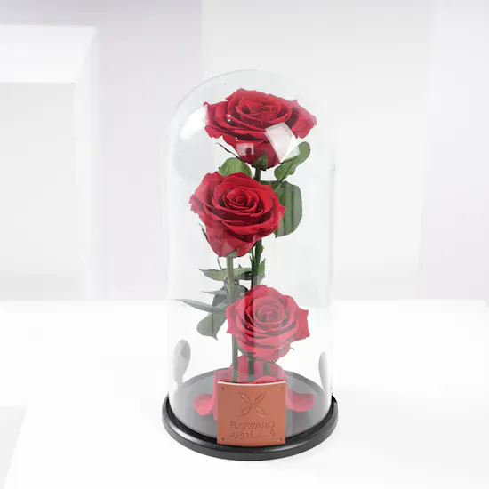 Red Preserved Roses