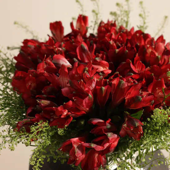 Scarlet Harmony Flower Vase