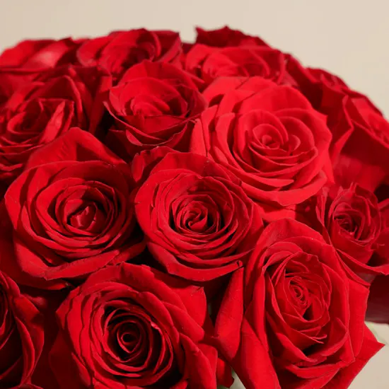 Graceful Red Roses Vase | 35 Roses