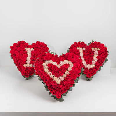 I Love You ❤️ I Love You ❤️