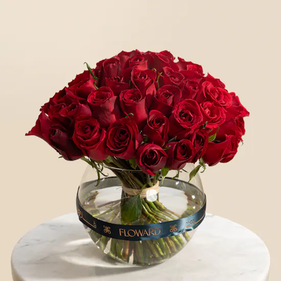 Love's Passion Blooms