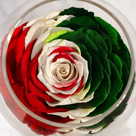 Rays of Happiness Preserved Roses Vase