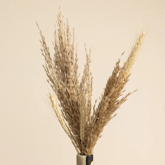 Nno Dry Flower Anita Vase