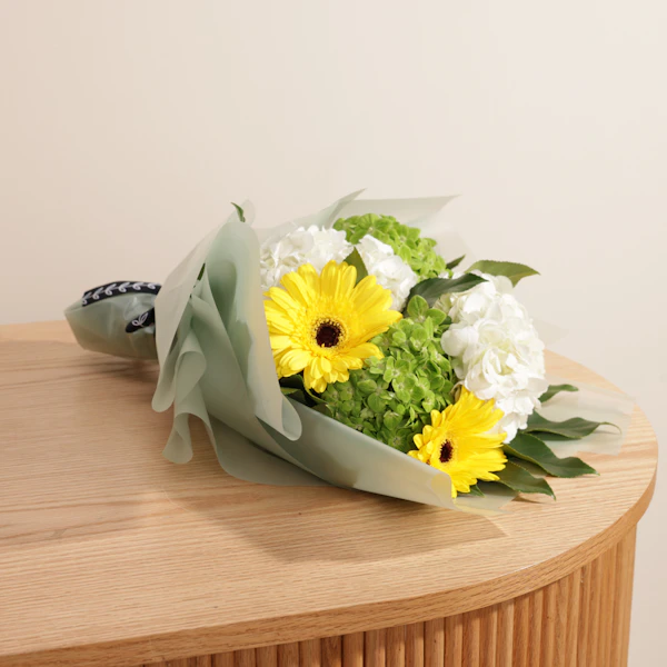 زهور الاناقه الساحره