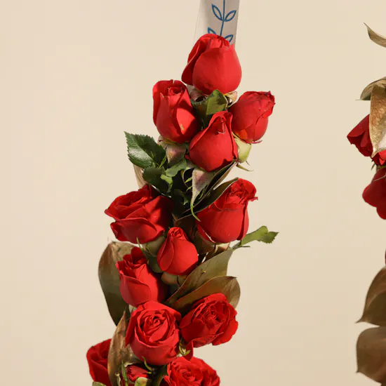 Red Rose Graduation Lei